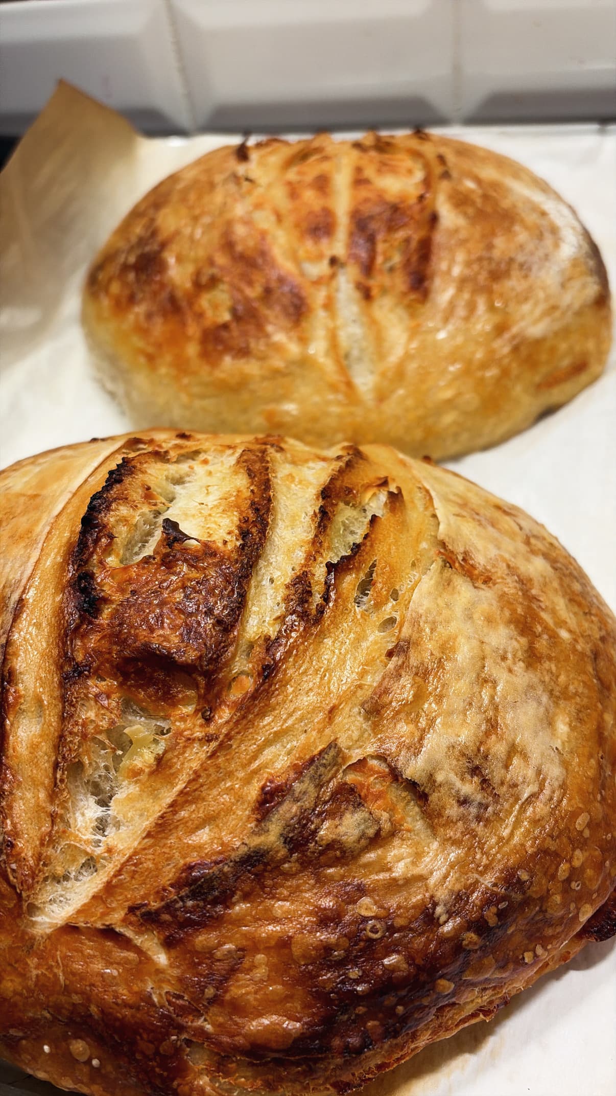 Sourdough Bread