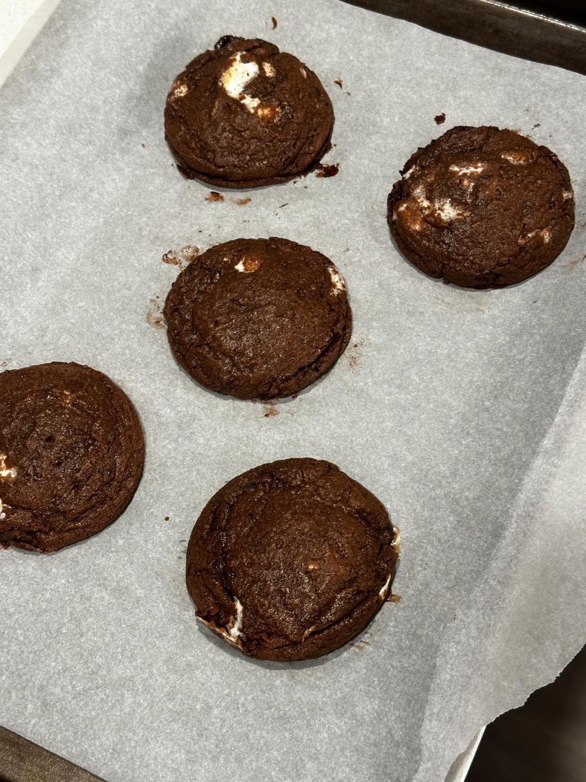 Hot Cocoa Cookies