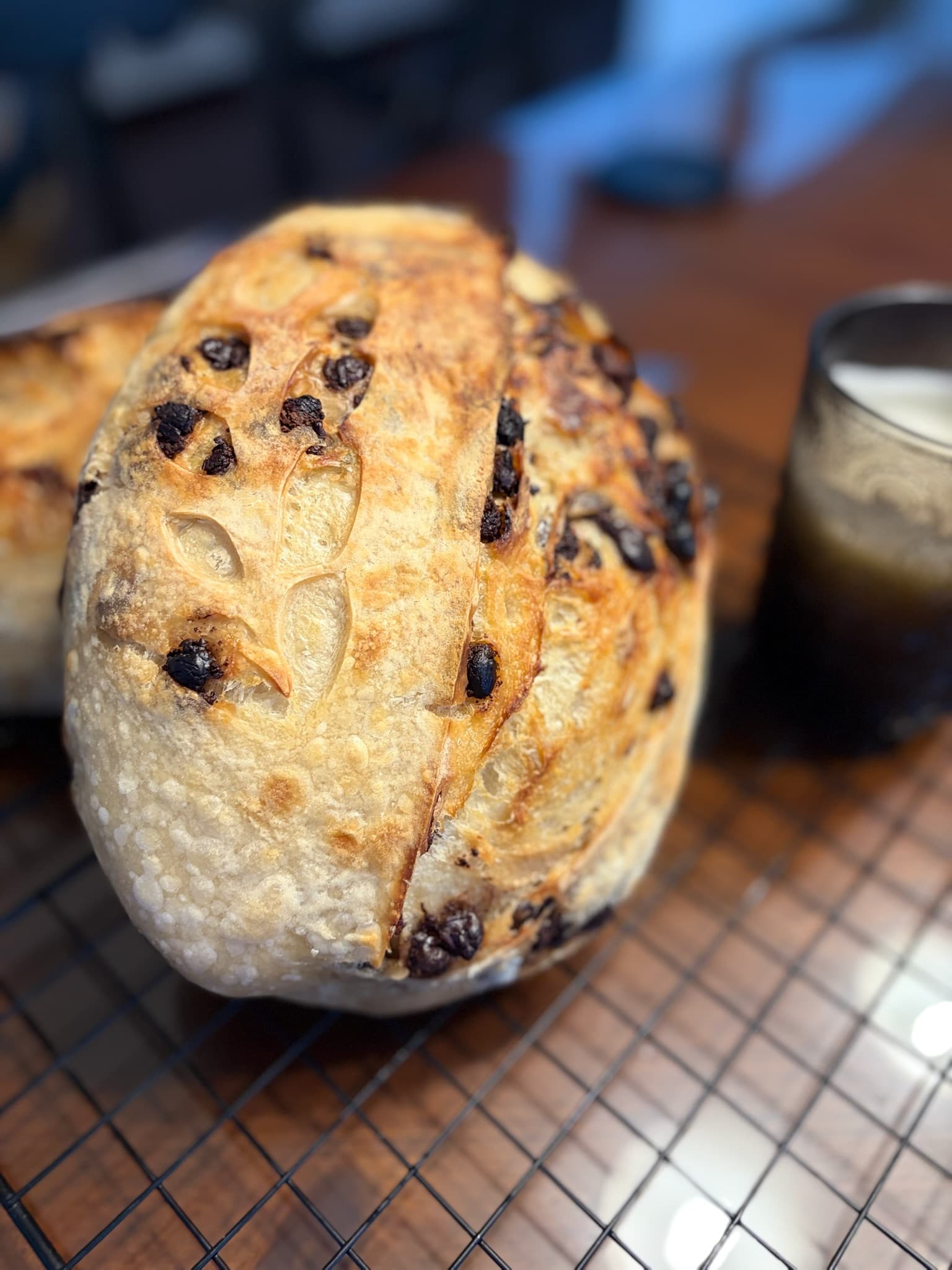 Chocolate Chip Organic Sourdough Loaf