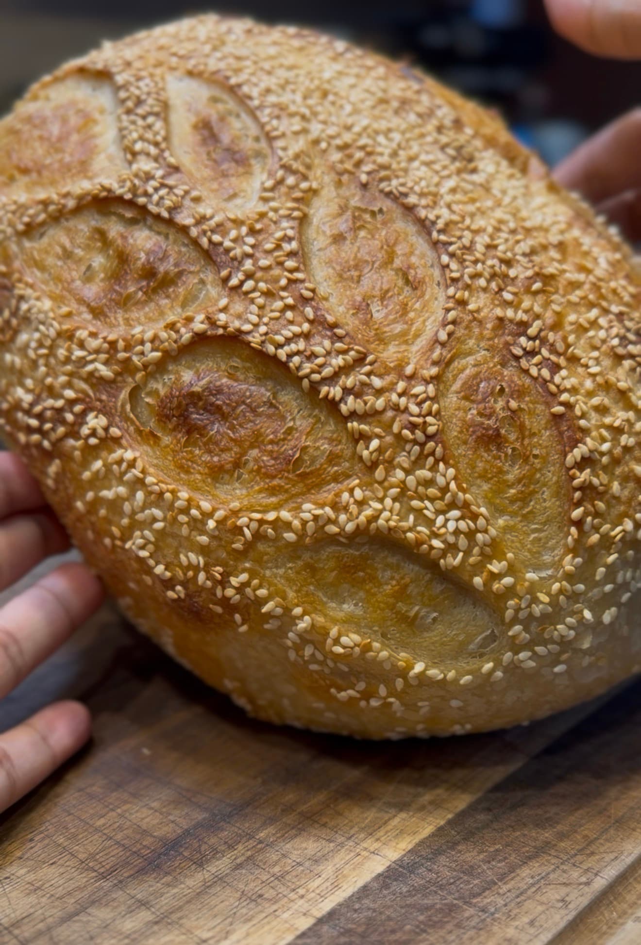Toasted Sunflower and Sesame Seed Organic Sourdough Loaf photo