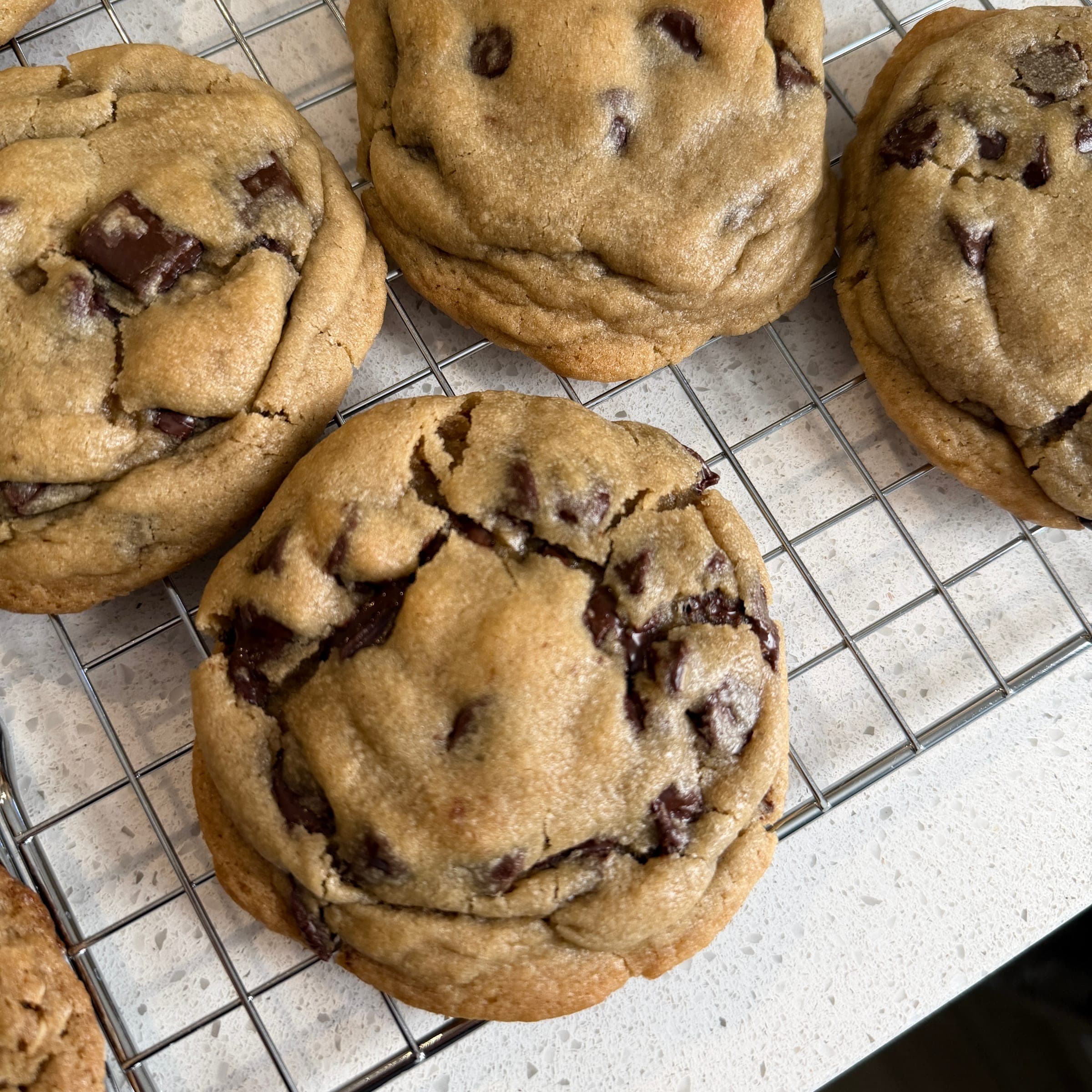 Chocolate chip cookie