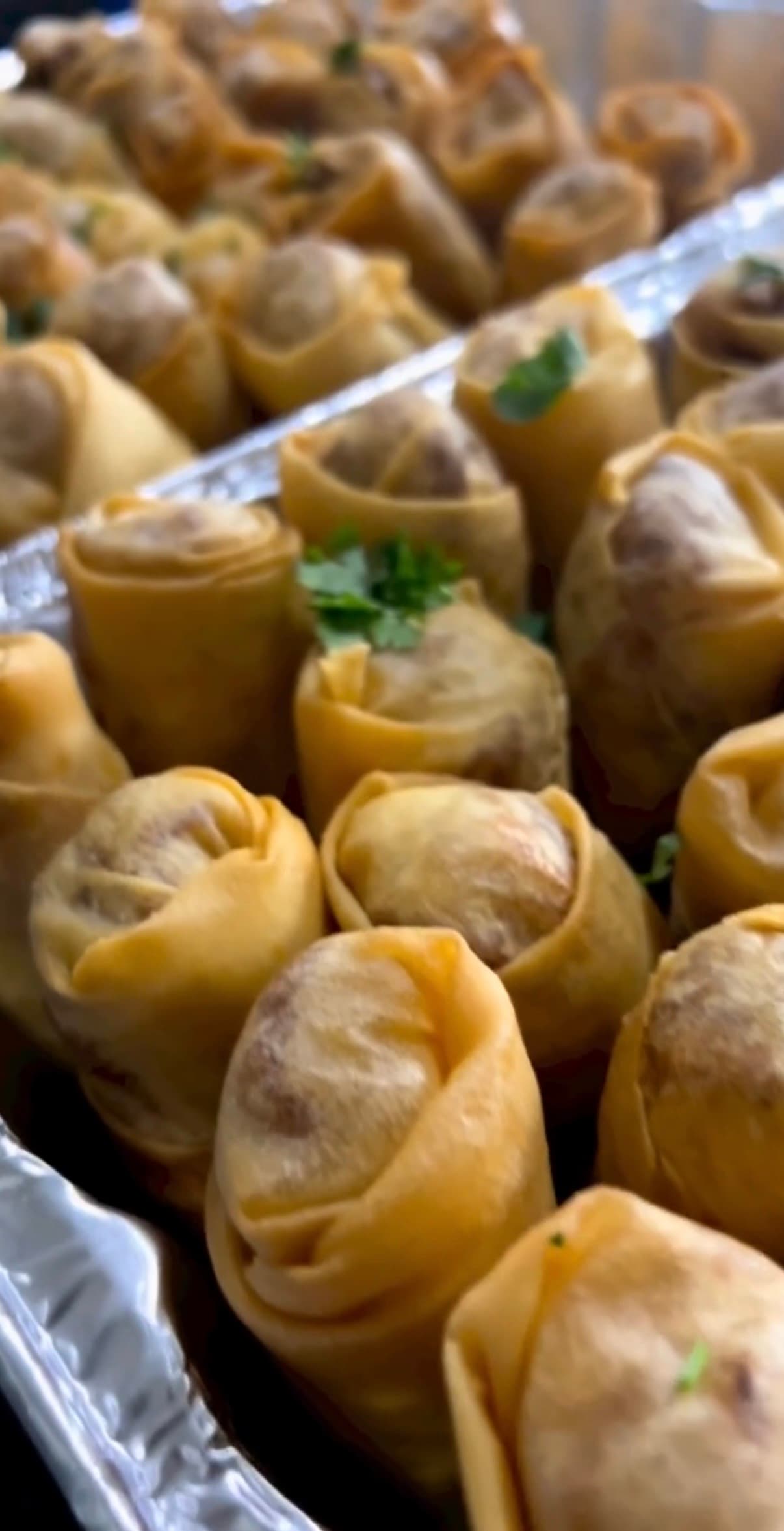 Veggie Spring Rolls
