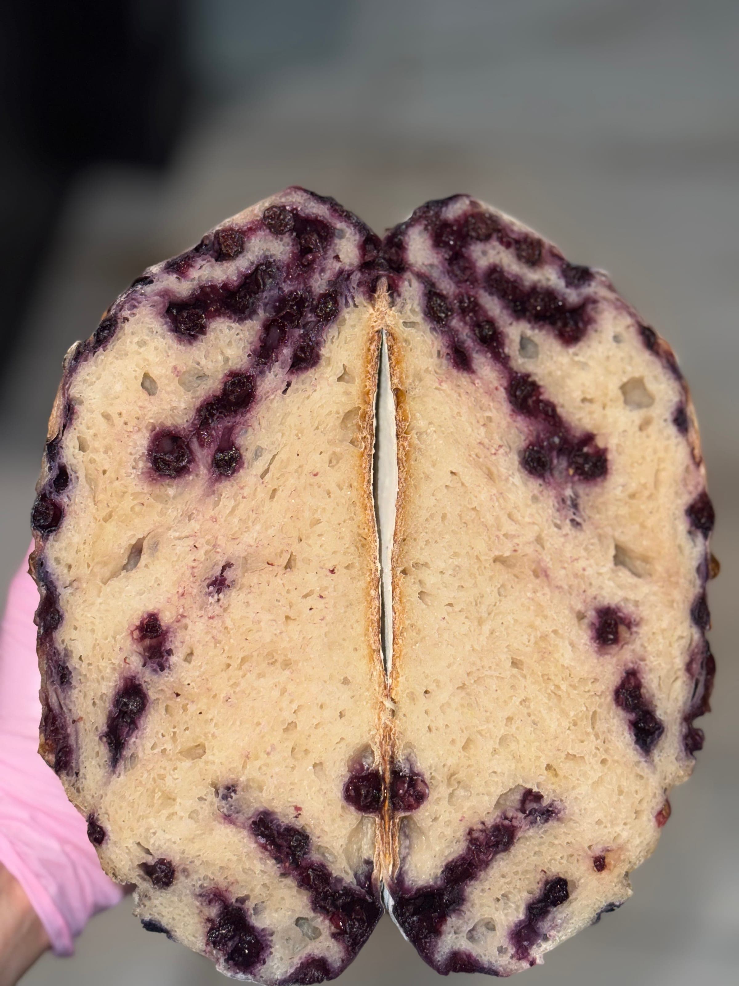 Blueberry Lemon Loaf - 2