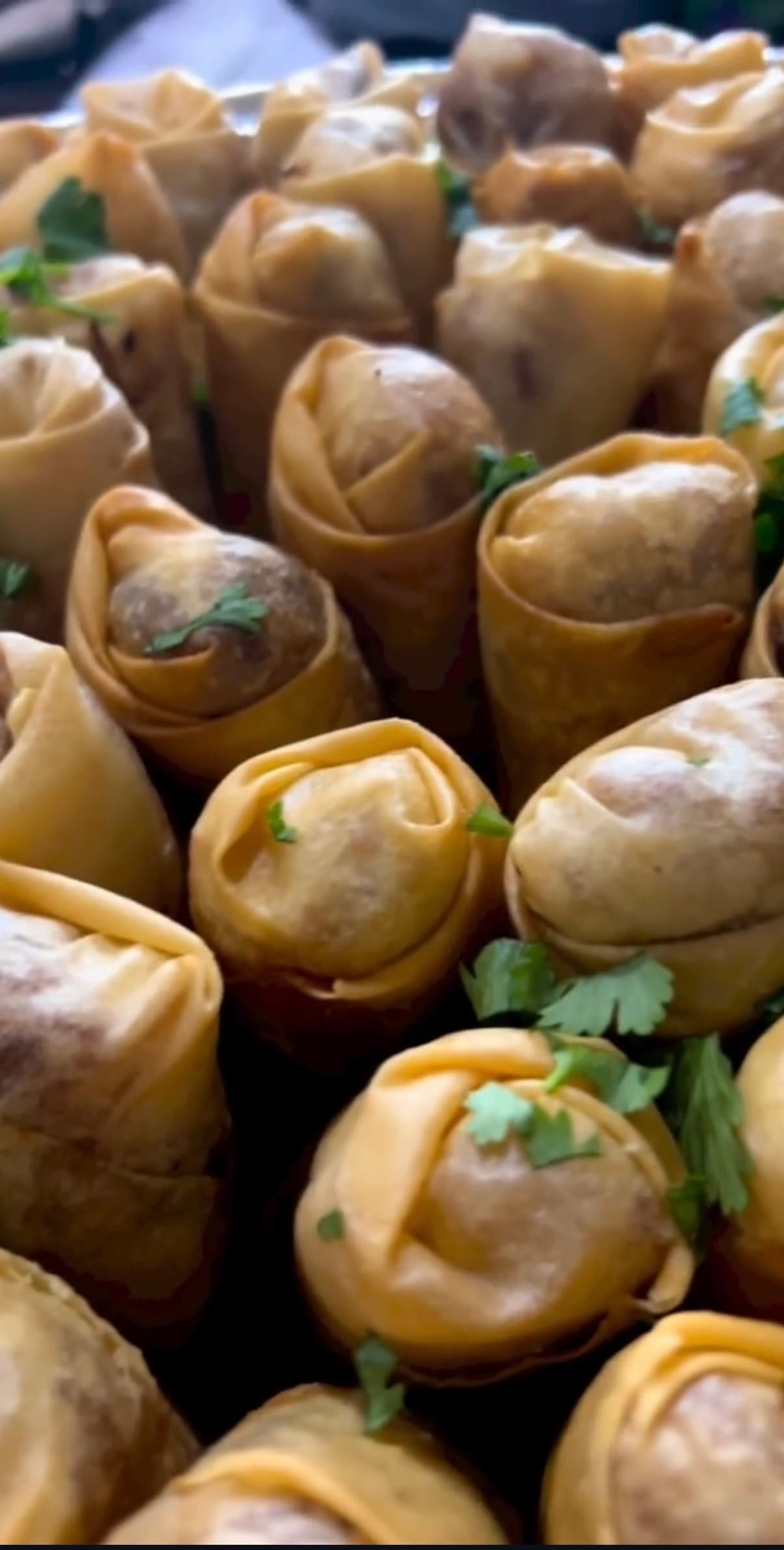 Veggie Spring Rolls - 2