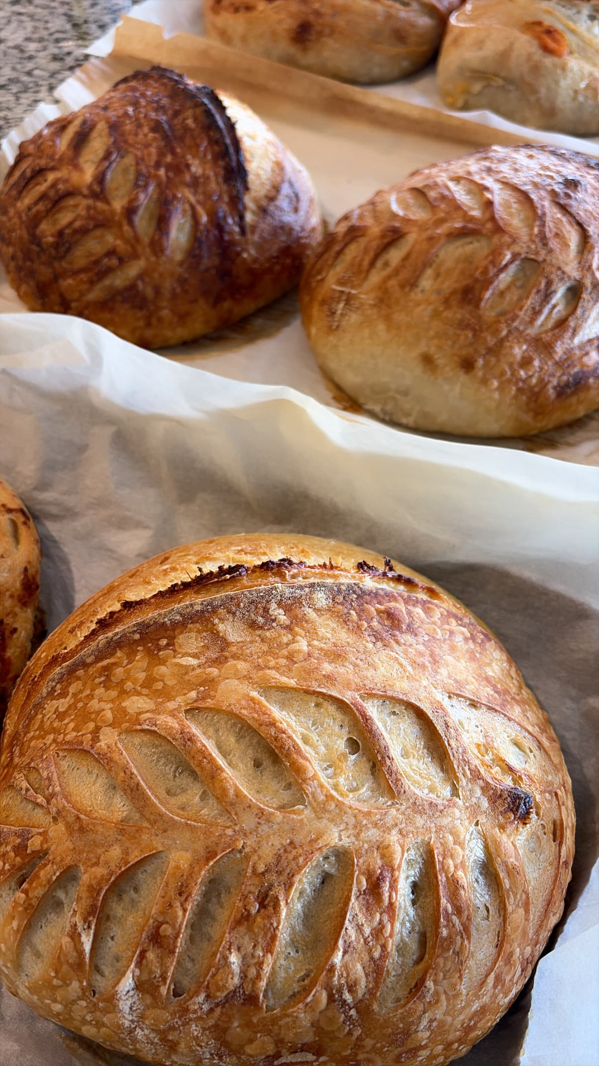 Sourdough Bread - 4